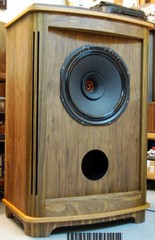 15 inch speaker project